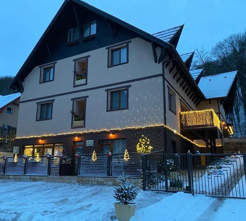 Silvan Villa - Apart Sighisoara Bagian luar foto