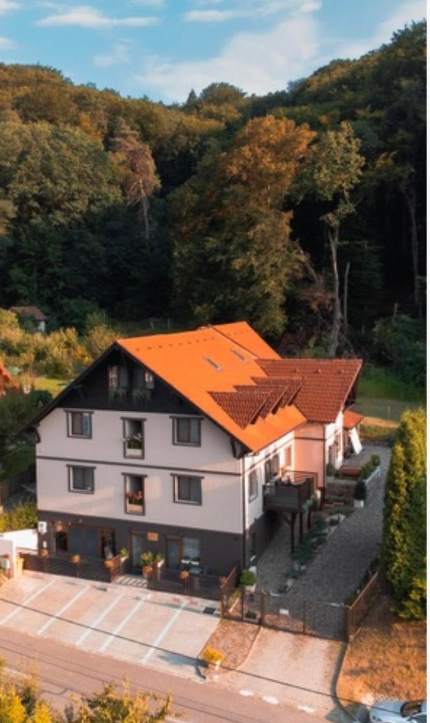 Silvan Villa - Apart Sighisoara Bagian luar foto